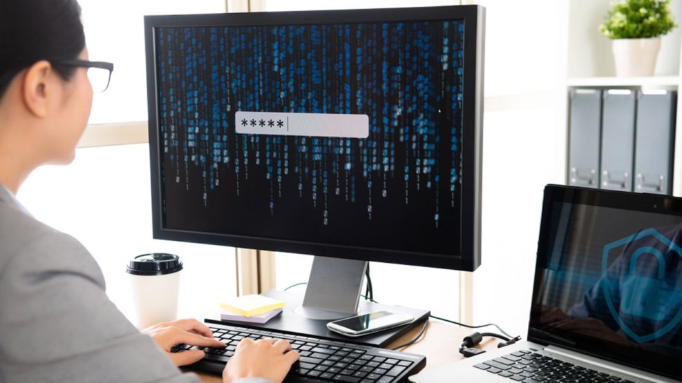 Descripción de la imagen 1